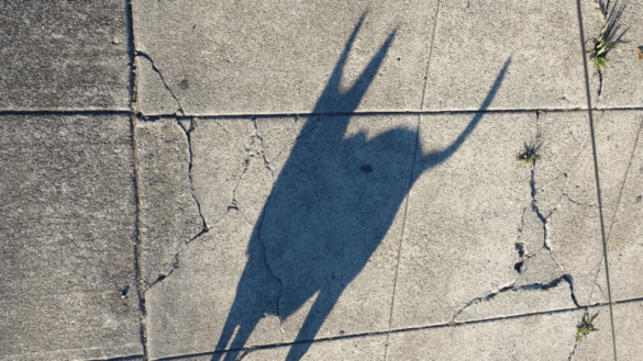 Super-Chi is watching you!