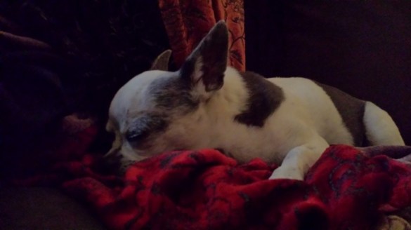 Chi Nina looks good in red.