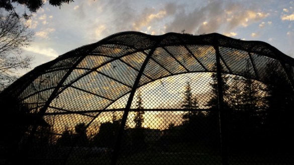 Home Plate at Brookdale Park, East Oakland