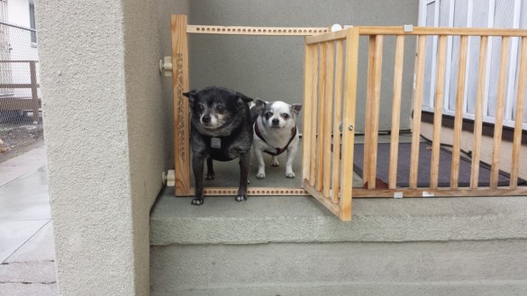 The girls when it's raining.