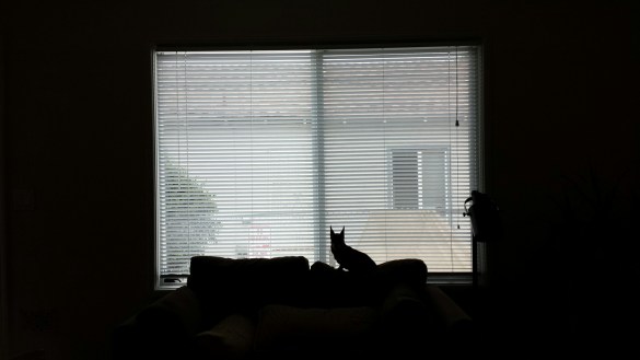 20140803_110514.jpg image