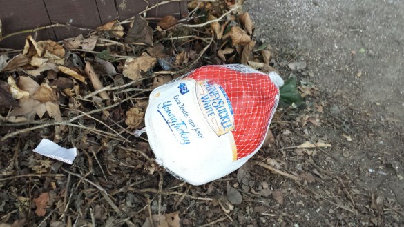 20150327_193444.jpg image